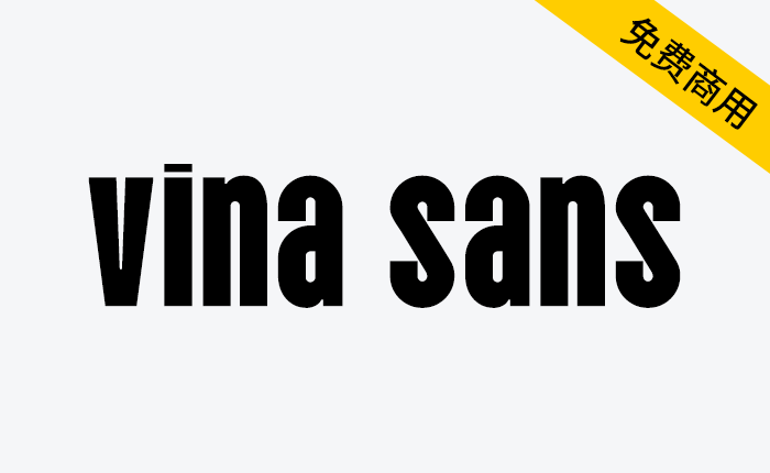 【Vina Sans】来自越南各地的路牌、传单和海报上的字母-链启库 lianqiku.com